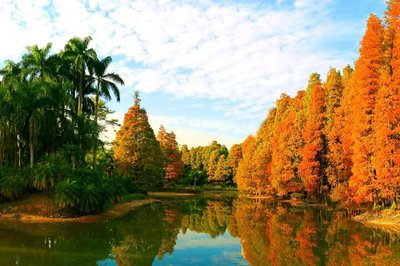 M.M. 흐리슈코 국립 식물원 (나치오날니 보타니치니 사드 이메니 엠엠 흐리슈카 난 우크라이니)